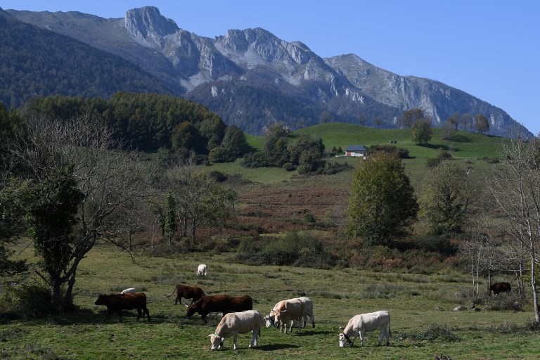 Hautes Pyrénées Un Enfant De 10 Ans égaré En Pleine