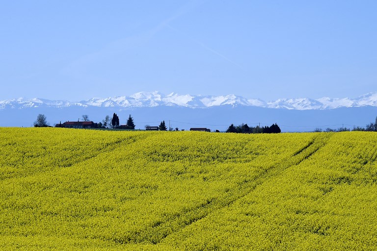 Vivre A La Campagne Reve Ou Cauchemar Sud Radio