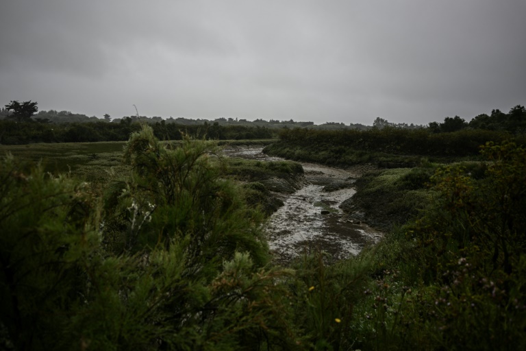 Les marais à proximité du “Pont du Feneau” à Ars-en-Ré, sur l'île de Ré, le 29 avril 2024