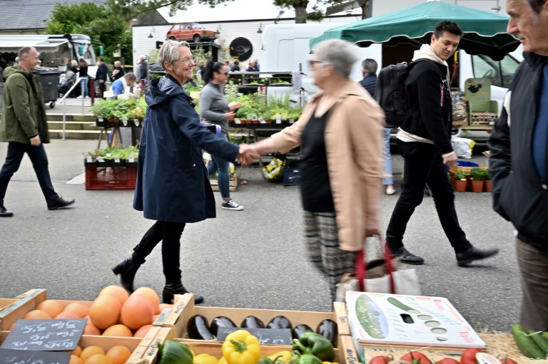 L'ancienne Première ministre Elisabeth Borne (g), candidate de la coalition de droite Ensemble aux législatives, distribue des tracts sur un marché à Villers-Bocage, le 3 juillet 2024 dans le Calvados