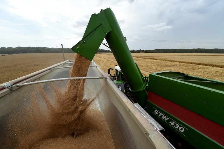 La production est estimée à 26,3 millions de tonnes, en baisse de 23,9% par rapport à la moyenne des cinq dernières années. 