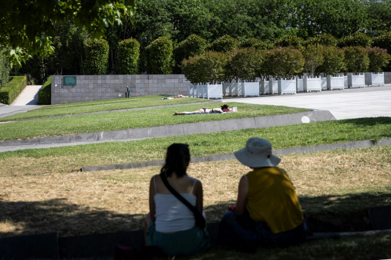 Bain de soleil ou recherche de l'ombre au parc André-Citroën à Paris, pendant une vague de chaleur, le 12 août 2024