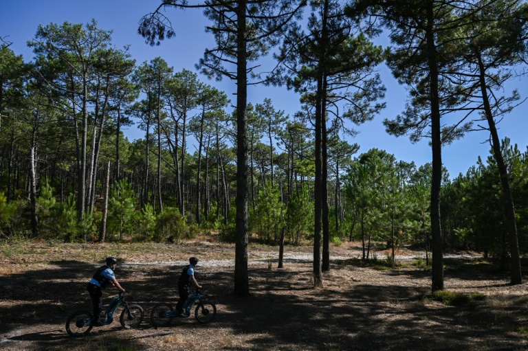 Des gendarmes, en scooters électriques tout-terrain, patrouillent dans une forêt de pins à Lacanau, le 8 août 2024 en Gironde