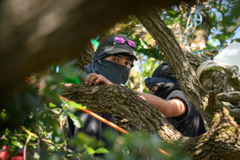 Des opposants à la construction de l'autoroute A69 observent depuis un arbre les gendarmes pendant une opération d'évacuation de leur campement, le 30 août 2024 à Saix, dans le Tarn