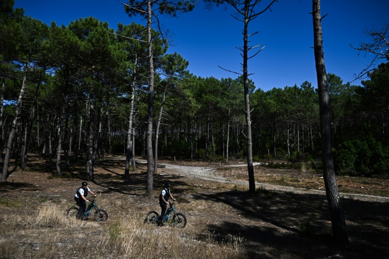 Des gendarmes, en scooters électriques tout-terrain, patrouillent dans une forêt de pins à Lacanau, le 8 août 2024 en Gironde