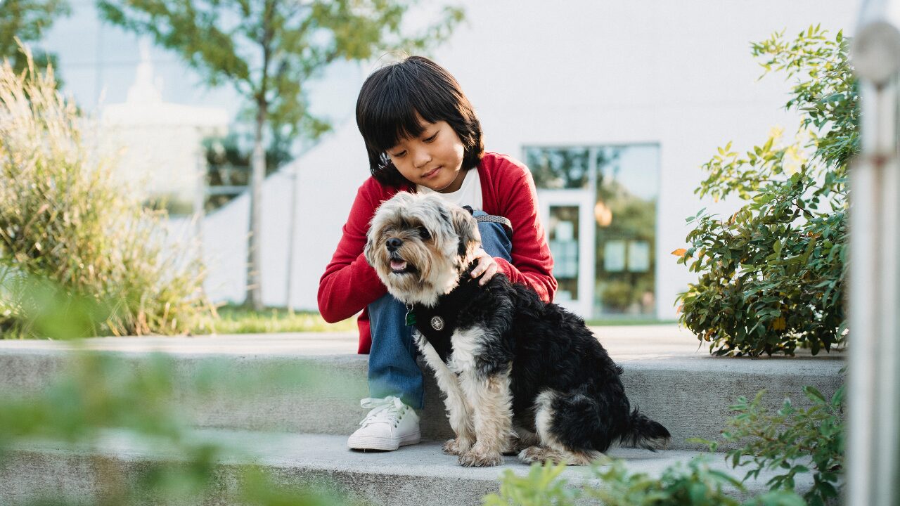 A Child Showing Love And Affection To A Dog