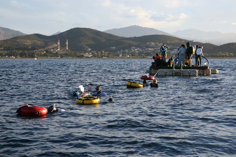 Les apnéistes de sécurité se préparent autour du dispositif d'apnée lors des Mondiaux d'apnée à Ajaccio, sur l'île méditerranéenne française de Corse, le 14 septembre 2024