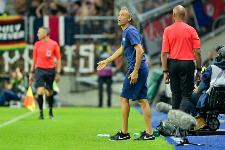 L'entraîneur espagnol du Paris Saint-Germain, Luis Enrique, lors du match de L1 contre le Havre AC, au stade Océane du Havre, le 16 août 2024