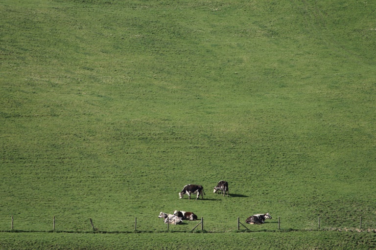 Pour un éleveur, mieux gérer son stock d'herbe permet de diminuer sa dépendance aux achats d'aliments, notamment de soja sud-américain issu de zones déforestées