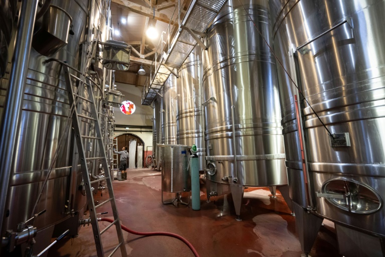 Fermentation du jus de raisin pour la production de vin rosé dans les caves du Château de Saint Martin à Taradeau, le 11 septembre 2024 dans le Var