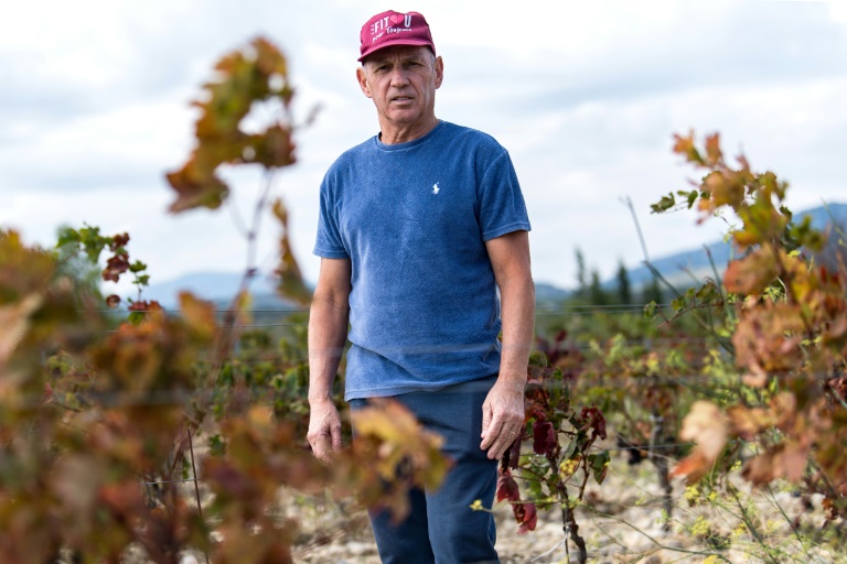 Lilian Copovi, président de la cave coopérative de Leucate, dans un vignoble touché par la sécheresse à Leucate, dans l'Aude, le 23 septembre 2024