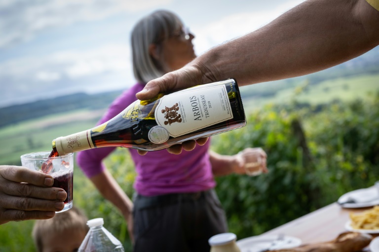 Pause déjeuner pendant les vendages au Domaine Sermier, le 10 septembre 2024 à Brery, dans le Jura