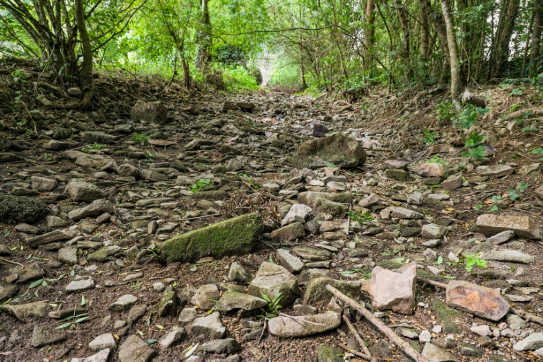 Le lit asséché de la rivière Aume, le 2 août 2023 à Saint-Fraigne, près de Poitiers, dans la Vienne