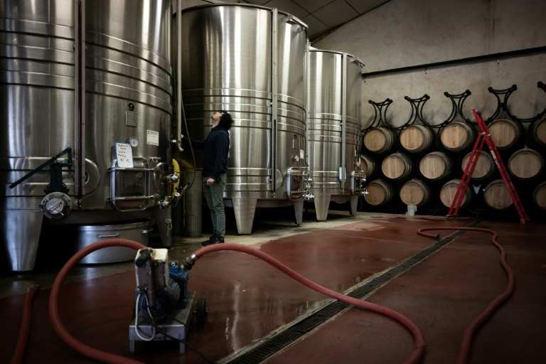 Un vigneron dans les caves du château des Chapelains, propriété de Zhang Rong, à Saint-André-et-Appelles, en Gironde, le 26 septembre 2024