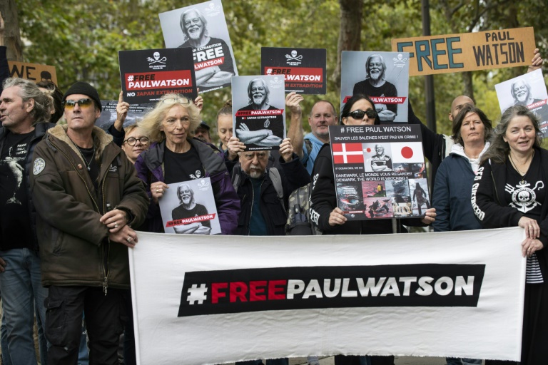 Une manifestation de soutien au fondateur et militant américano-canadien de l'ONG Sea Shepherd, Paul Watson, près de l'ambassade du Danemark à Paris, le 23 septembre 2024.