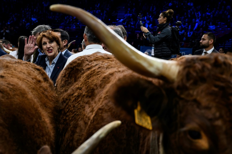 La ministre française de l'Agriculture, Annie Genevard assiste au concours national de la race Salers lors de sa visite au salon d'élevage de Cournon-d'Auvergne, le 3 octobre 2024