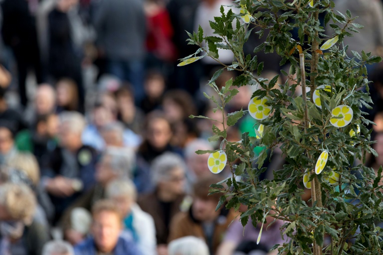 Rassemblement à la mémoire du militant écologiste Rémi Fraisse, le 2 novembre 2014 à Paris