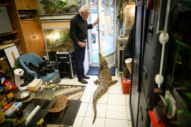 L'herpétologue Philippe Gillet ouvre la porte pour son alligator, le 15 novembre chez lui à Couëron, près de Nantes