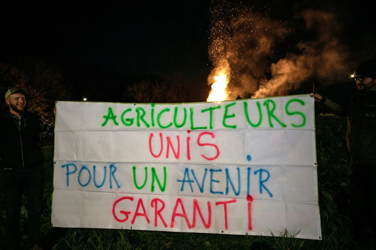 Des membres du syndicat agricole Jeunes agriculteurs 68 sur un rond-point d'Altkirch,en Alsace, le 14 novembre 2024