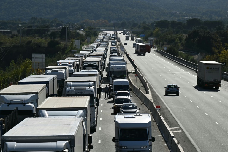 Des camions et voitures bloqués sur l'A9 dans le sens Espagne-France, en raison d'un barrage dressé par des agriculteurs de la Coordination rurale, le 19 novembre 2024 au Boulou, dans les Pyrénées-Orientales