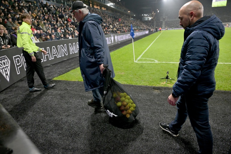 Le personnel du stade du SCO d'Angers ramasse les balles de tennis lancées sur le terrain par les supporters lors de la rencontre avec le PSG au stade Raymond-Kopa d'Angers, le 9 novembre 2024