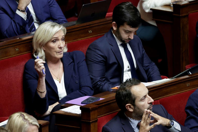 La présidente du groupe des députés du Rassemblement national Marine Le Pen et les députés RN Jean-Philippe Tanguy (à droite) et Sébastien Chenu (en bas), à l'Assemblée nationale à Paris le 31 octobre 2024