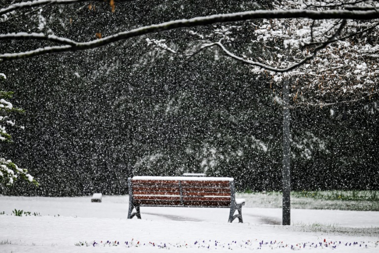 Les chutes de neige sont prévues entre la fin de nuit de mercredi à jeudi et la soirée de jeudi