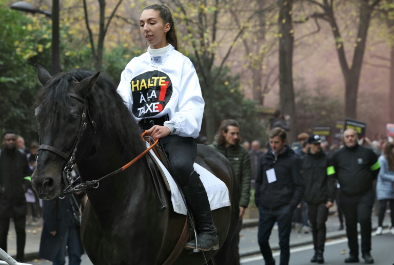 Manifestation de professionnels de la filière hippique contre un projet de taxation des paris, le 7 novembre 2024 à Paris