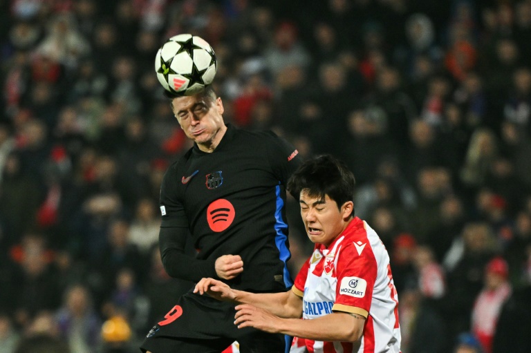 L'attaquant du FC Barcelone Robert Lewandowski a marqué un doublé contre l'Etoile rouge de Belgrade lors de la 4e journée de la Ligue des champions, à Belgrade, le 6 novembre 2024