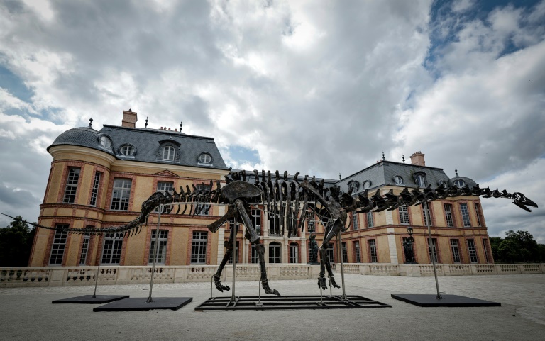 Le squelette de l'apatosaure surnommé Vulcain, présenté au château de Dampierre-en-Yvelines, dans les Yvelines, le 10 juillet 2024