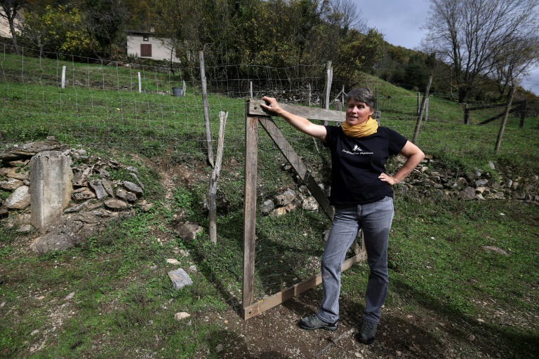 Laurence Marandola, éleveuse de lamas et porte-parole du syndicat agricole Confédération Paysanne, dans sa ferme d'Auzat, le 31 octobre 2024 en Ariège