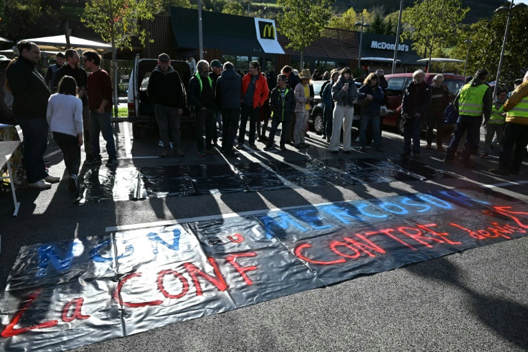 Manifestation d'agriculteurs membres de la Confédération paysanne contre l'accord UE-Mercosur, le 13 novemb re 2024 à Millau, dans l'Aveyron