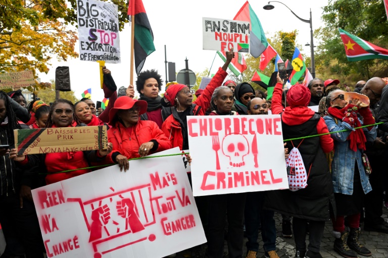 Une manifestation à l'appel de la diaspora française d'outre-mer contre le coût de la vie élevé, sur la place Denfert-Rochereau à Paris le 10 novembre 2024