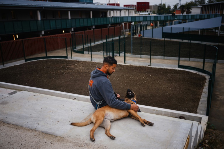 Une bénévole joue avec un chien disponible à l'adoption au nouveau refuge de la Société protectrice des animaux à Gennevilliers, dans les Hauts-de-Seine, le 7 novembre 2024