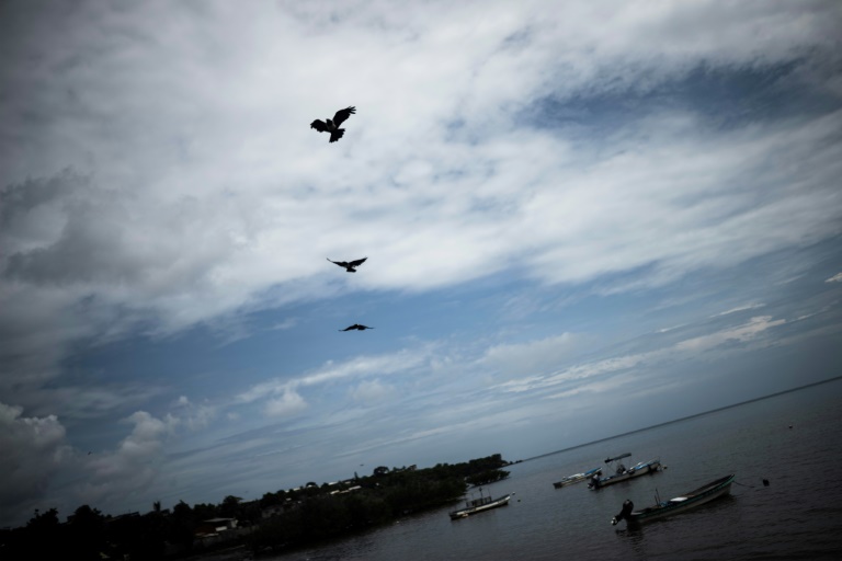 Des oiseaux volent au-dessus du port à Mamoudzou, sur l'île française de Mayotte, le 19 février 2024