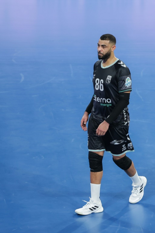 Earvin Ngapeth lors de son dernier match sous les couleurs de Poitiers le 27 décembre 2024 au Futuroscope. La star française du volley mondial rejoindra début janvier le championnat turc