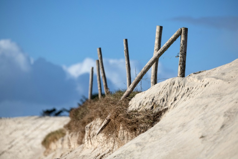 Des troncs d'arbres installés pour empêcher l'érosion de la dune à Treffiagat, dans le Finistère, le 19 décembre 2024