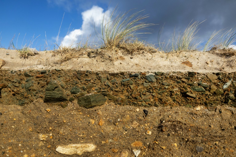 La dune érodée à Treffiagat,dans le Finistère, le 19 décembre 2024