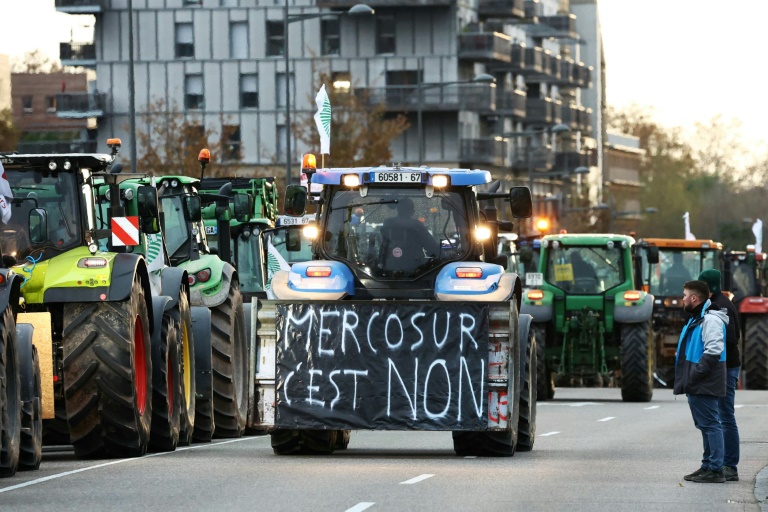 Manifestation d'agriculteurs de la FNSEA et de la Coordination rurale contre l'accord de libre-échange UE-Mercosur, le 18 novembre 2024 à Strasbourg, dans le Bas-Rhin