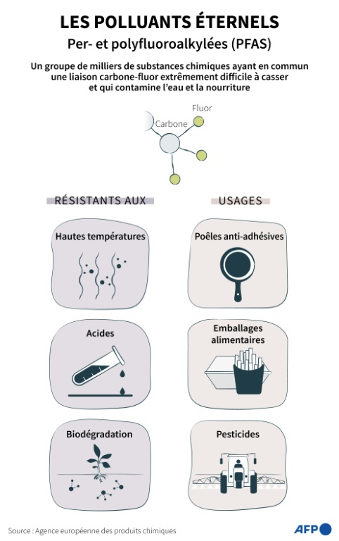 Les polluants éternels : les substances per- et polyfluoroalkylées (PFAS)