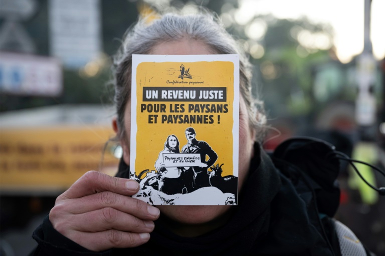 Manifestation de la Confédération paysanne au Luc (Var) le 8 janvier 2025