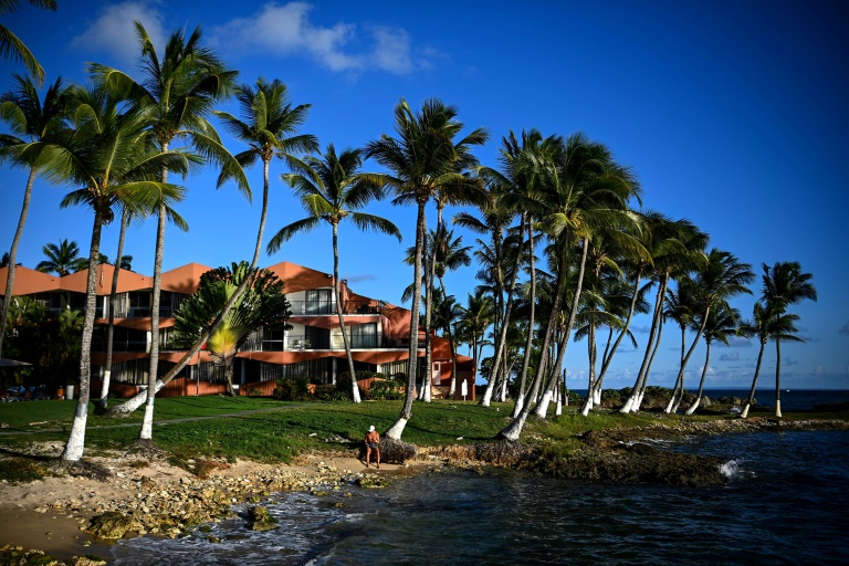 Palmiers au Gosier, à la Guadeloupe, le 22 novembre 2021