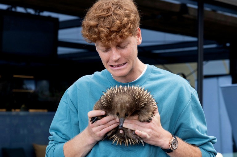 L'Italien Jannik Sinner tenant un échidné, un animal originaire d'Australie, avant l'Open d'Australie 2025 à Melbourne, dans une photo diffusée par Tennis Australia le 10 janvier 2025.