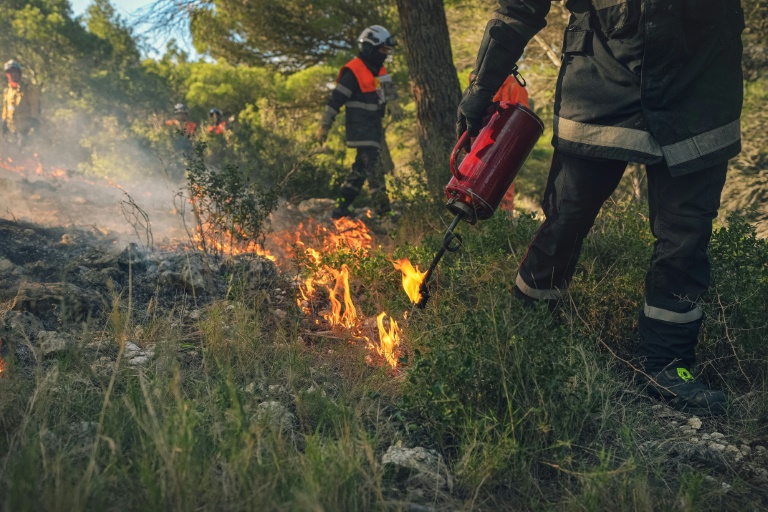 Une équipe de pompiers sur un chantier de brûlage dans une forêt de Bages, près de Narbonne dans l'Aude, le 18 janvier 2025