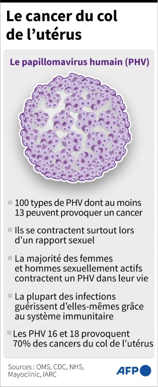 Le virus à l'origine du cancer du col de l'utérus