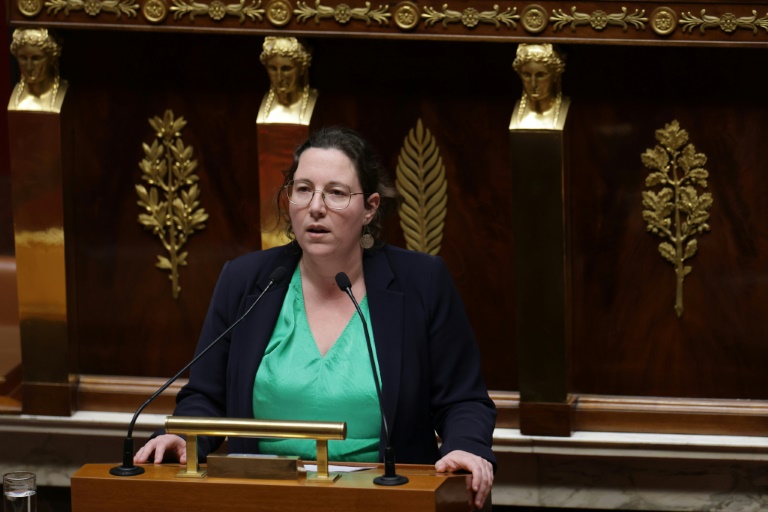 La présidente du groupe écologiste au Parlement Cyrielle Chatelain prononce un discours à l'Assemblée nationale, à Paris, le 16 janvier 2025