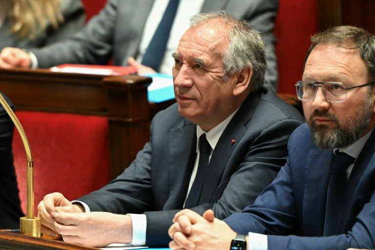 Francois Bayrou et Patrick Mignola lors d'une session de questions au gouvernment à l'Assemblée nationale le 12 février 2025.