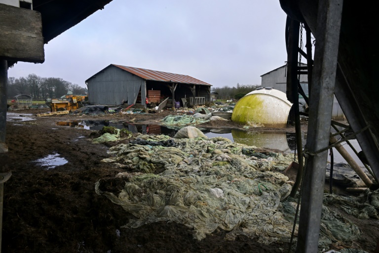 Une exploitation laitière biologique dévastée par les récentes inondations à Bruz, le 5 février 2025 en Ille-et-Vilaine