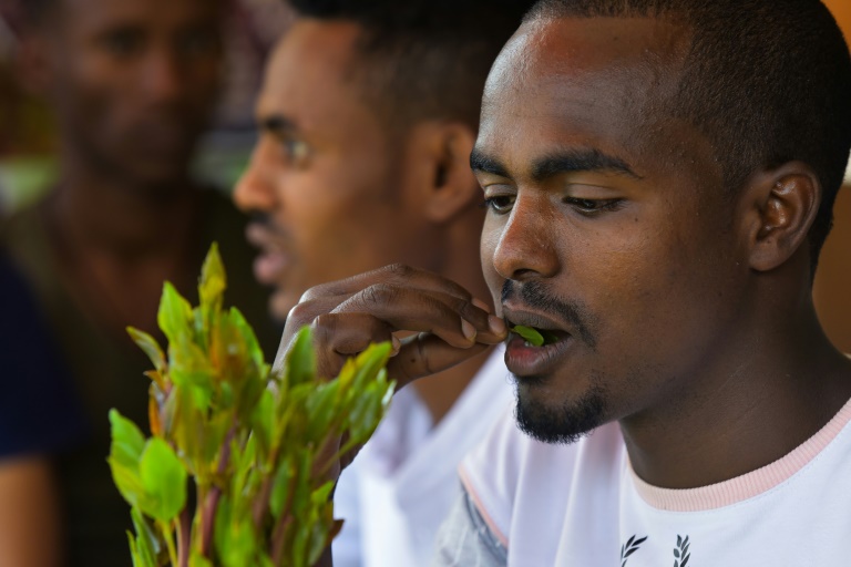 Des hommes mâchent du khat à Addis Abeba, le 23 juillet 2019 en Ethiopie