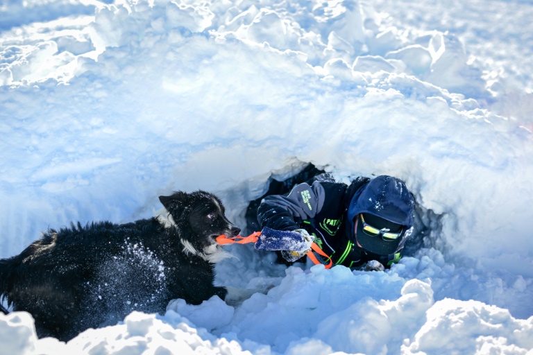 Un chien d'avalanche, des sauveteurs et des pisteurs participent à un entraînement à la station de ski de La Rosière, le 4 février 2025 en Savoie